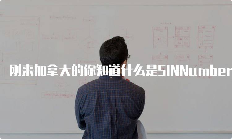 刚来加拿大的你知道什么是SINNumber？新生必读指南-留学谷