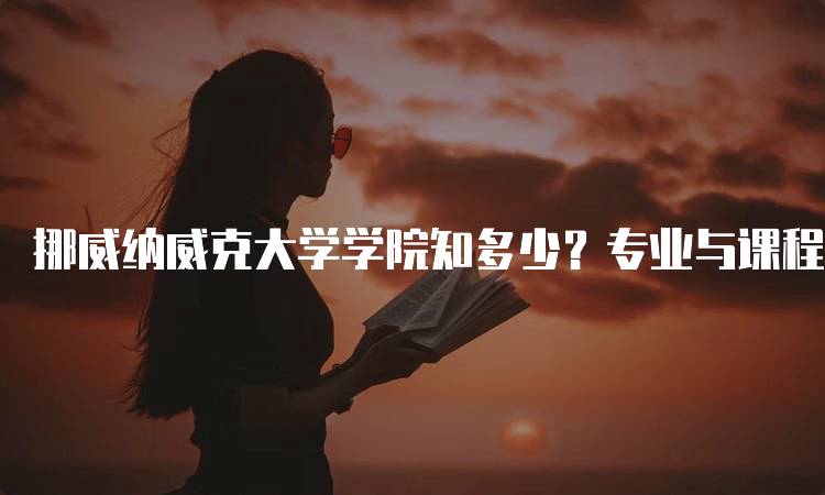 挪威纳威克大学学院知多少？专业与课程解析-留学谷